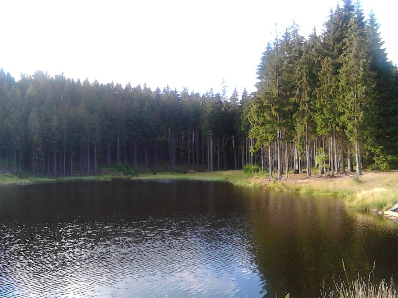 Jiřetínská chaloupka Jiretin pod Jedlovou Exterior foto